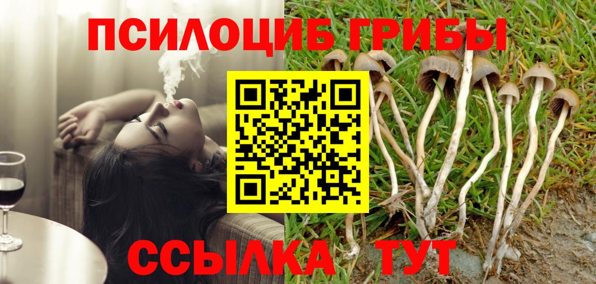 Галлюциногенные грибы MAGIC MUSHROOMS  Псилоцибиновые грибы Magic Shrooms  дарнет шоп  Вход с VPN  Уфа 