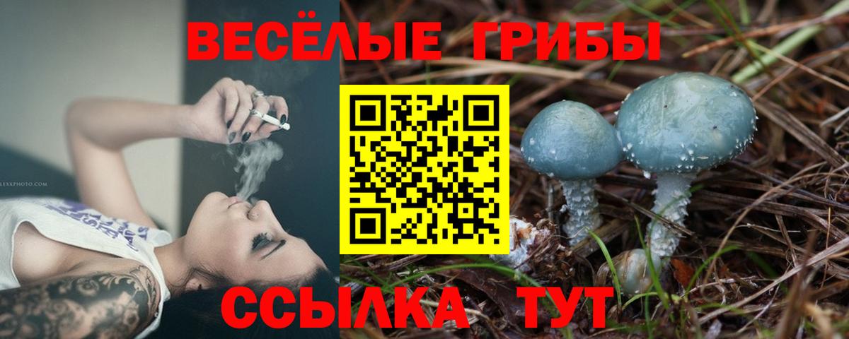 Псилоцибиновые грибы прущие грибы Уфа